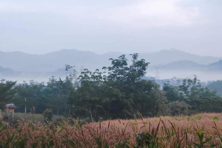 ภูริรักษ์ โฮมสเตย์ Ban Pha Saeng Lang Buitenkant foto